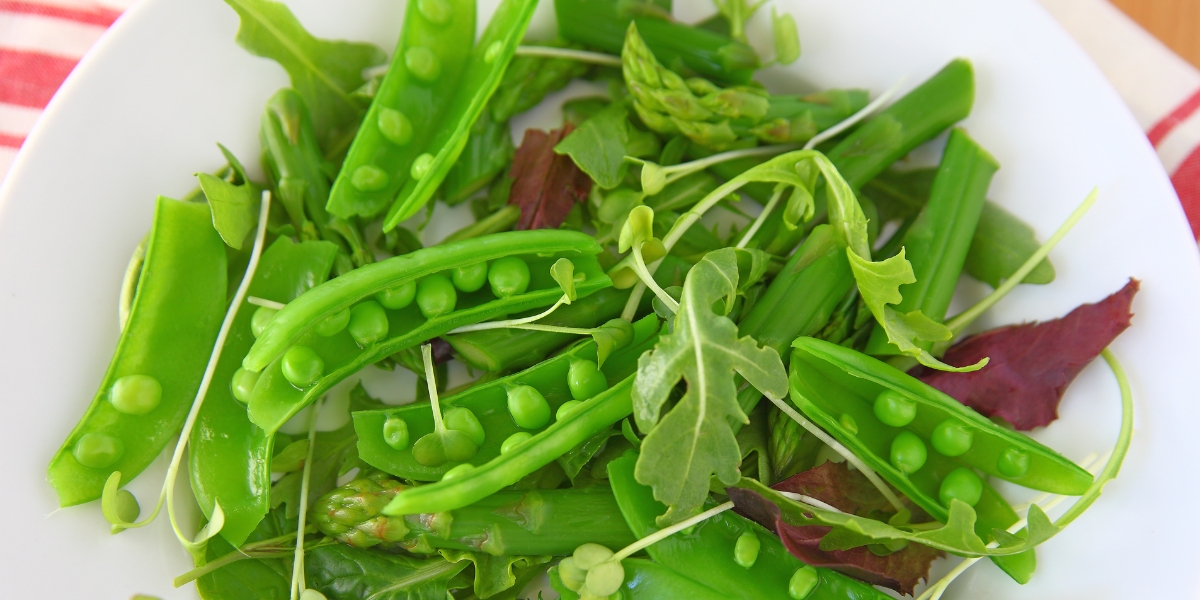 Spring Cooking