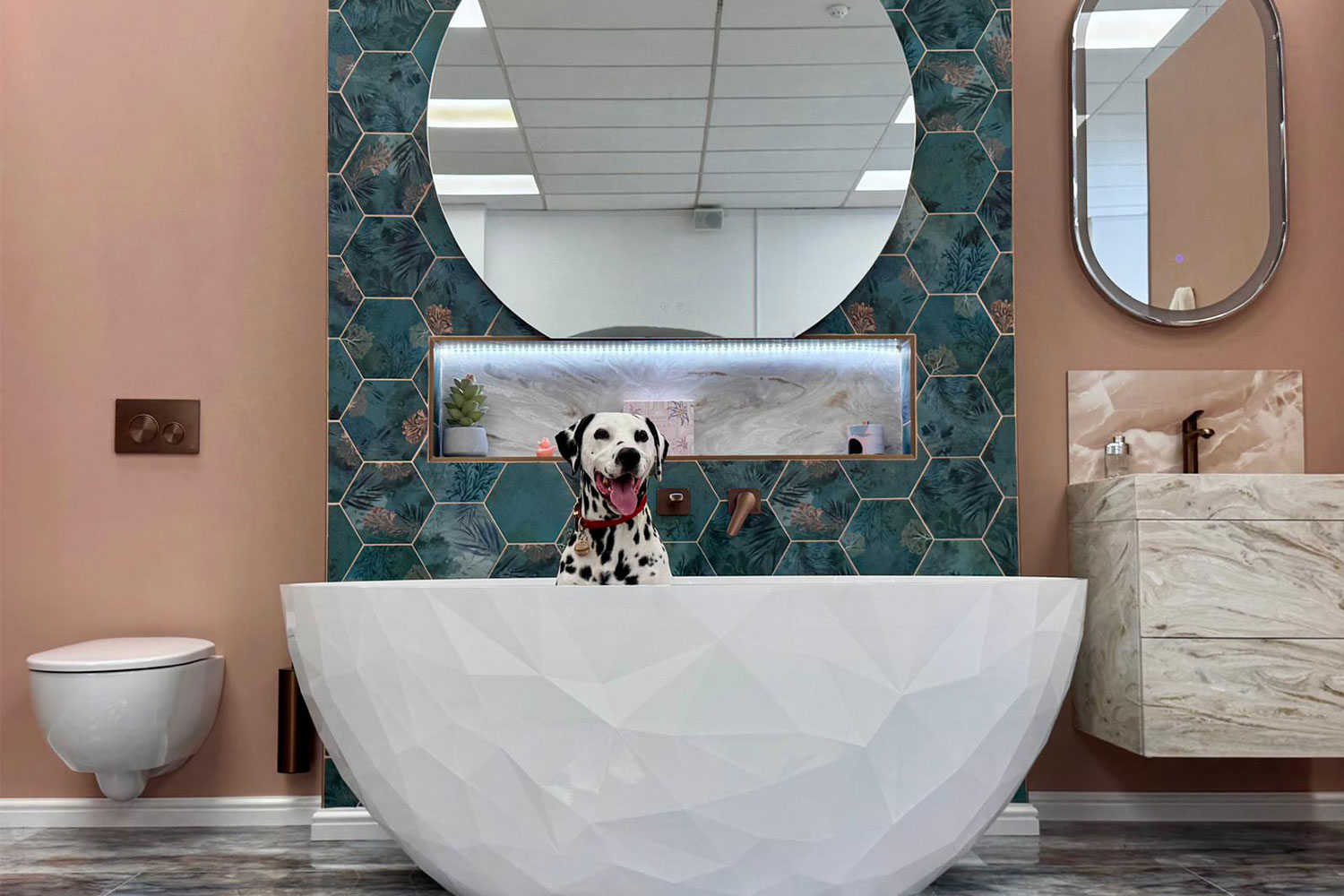Pongo, a dalmation dog, in a freestanding bath within our Bristol Bathroom Showroom.